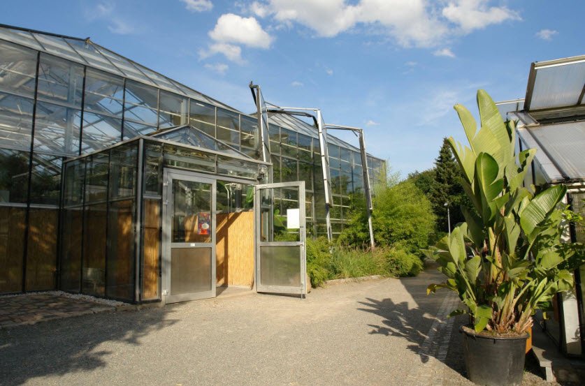 Botanischer Garten Chemnitz, Chemnitz, Germany, Germany